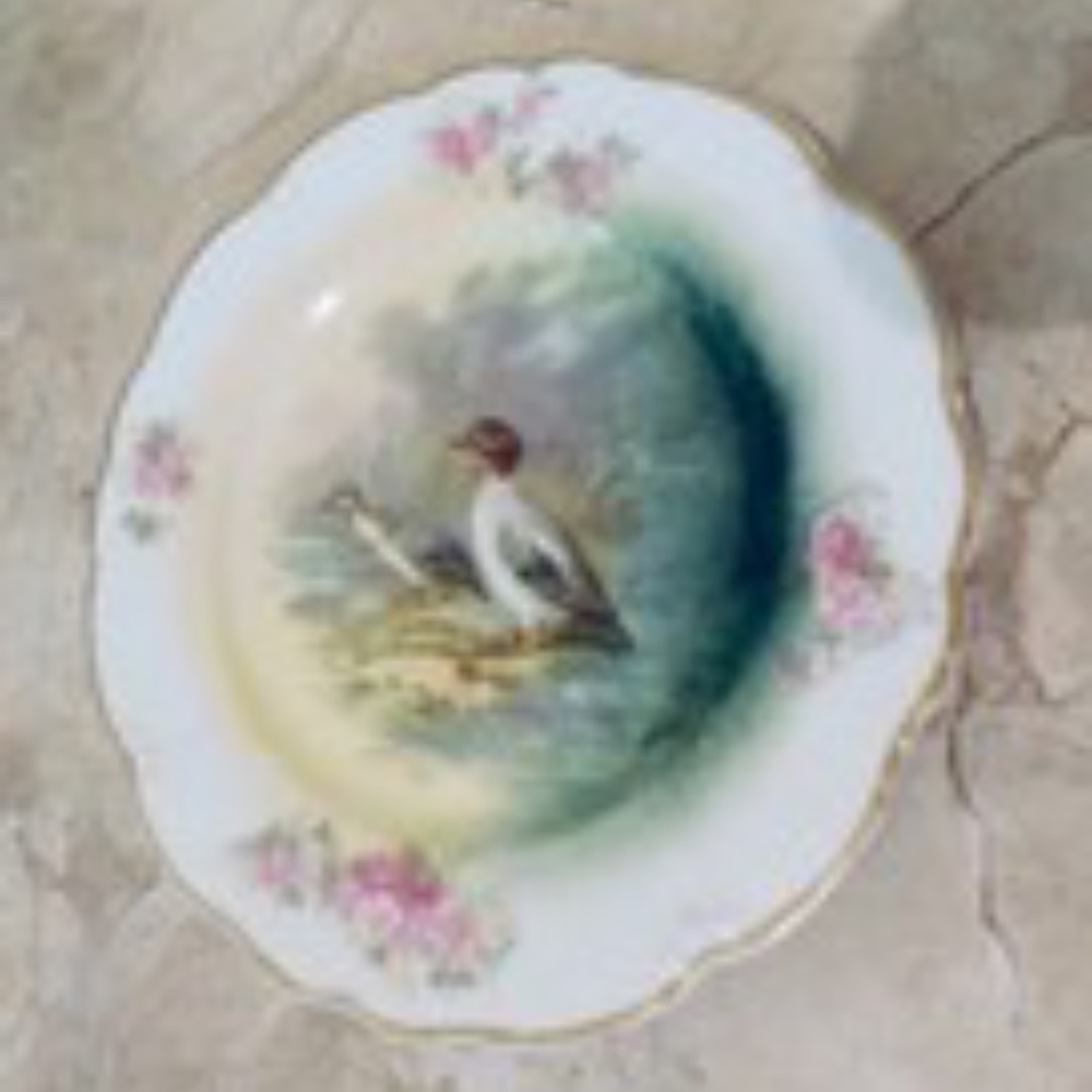 TWO Antique LRL Limoges Salad, Dessert Plates (1) ducks (1)  birds  Rare France